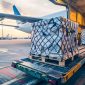 Shipping and Logistics Company in Canada