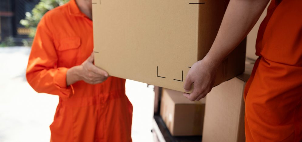 hand carry logistics hand carry logistics