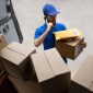 expedited shipping